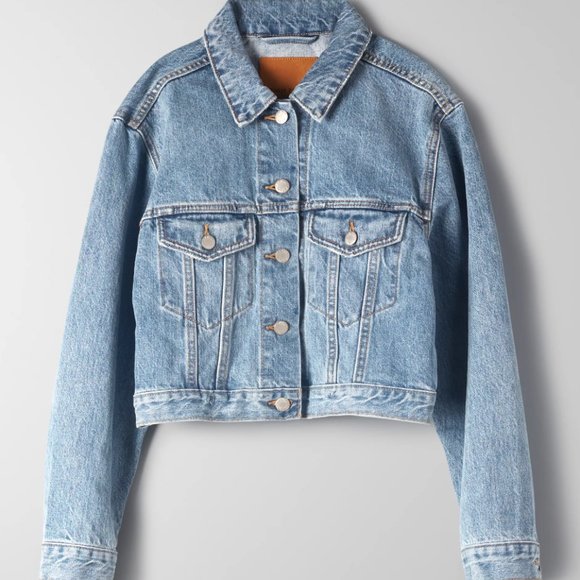 Aritzia Denim Forum Tina Jacket - Picture 4 of 5